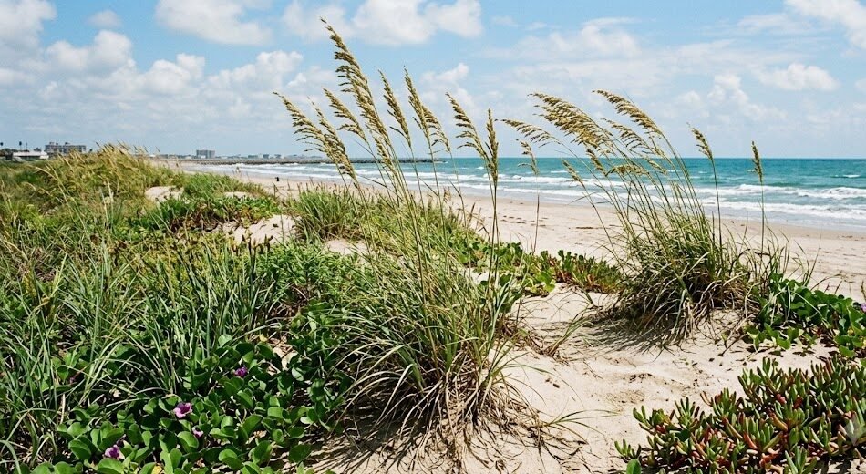 galveston beach